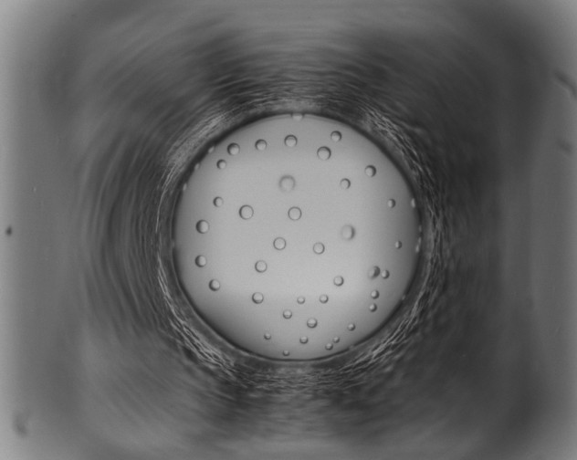 X0000100980145200806241156