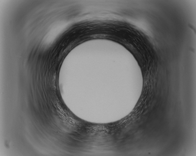 X0000100980146200806241156