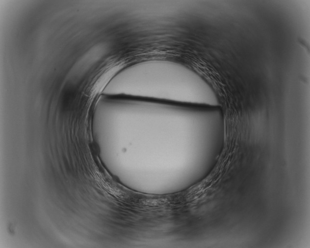 X0000100980147200806241156