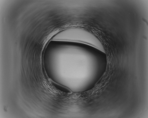 X0000100980148200806241156