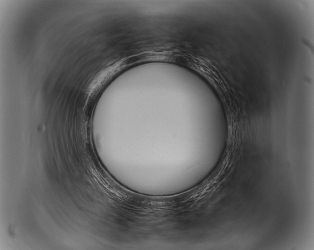 X0000100980149200806241156
