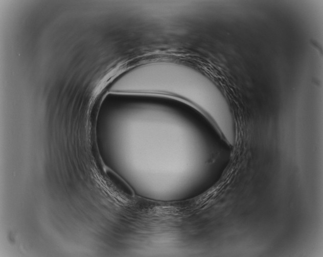 X0000100980150200806241156