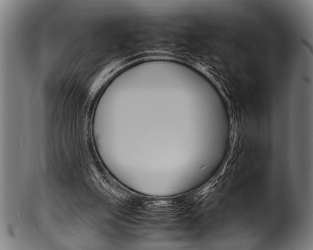 X0000100980151200806241156