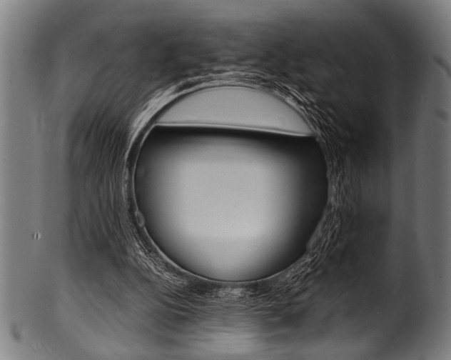 X0000100980152200806241156