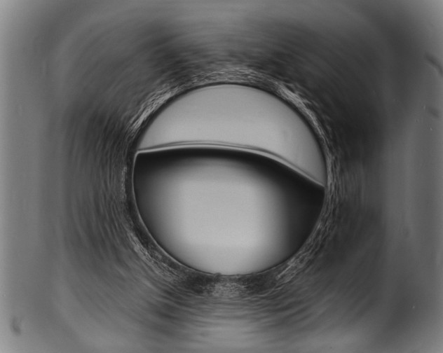 X0000100980154200806241156