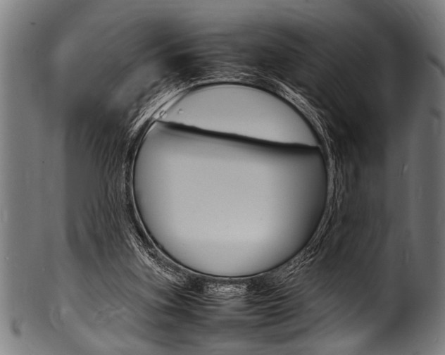 X0000100980155200806241156