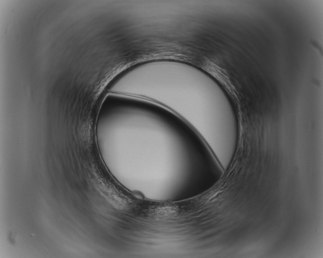 X0000100980156200806241156