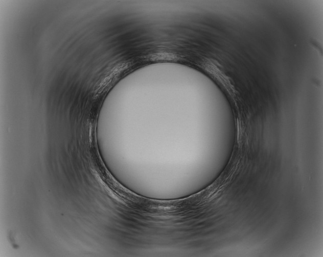 X0000100980157200806241156