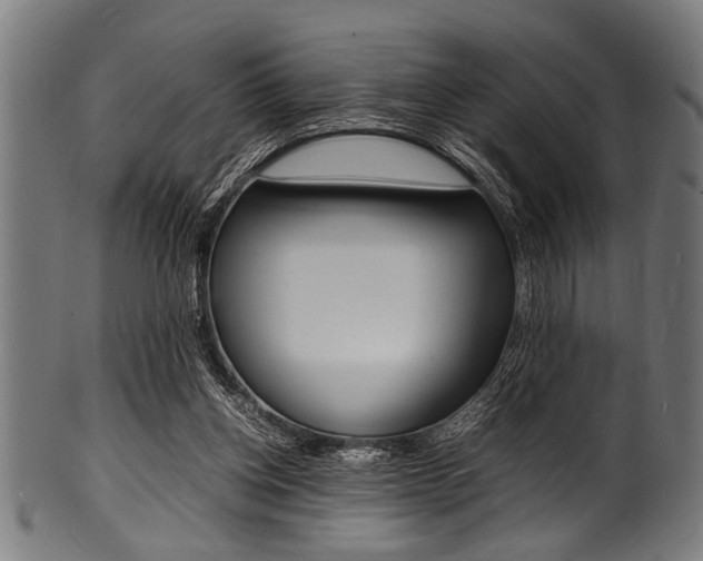 X0000100980158200806241156