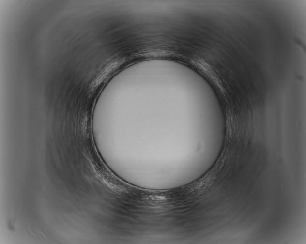 X0000100980159200806241156