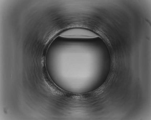 X0000100980160200806241156