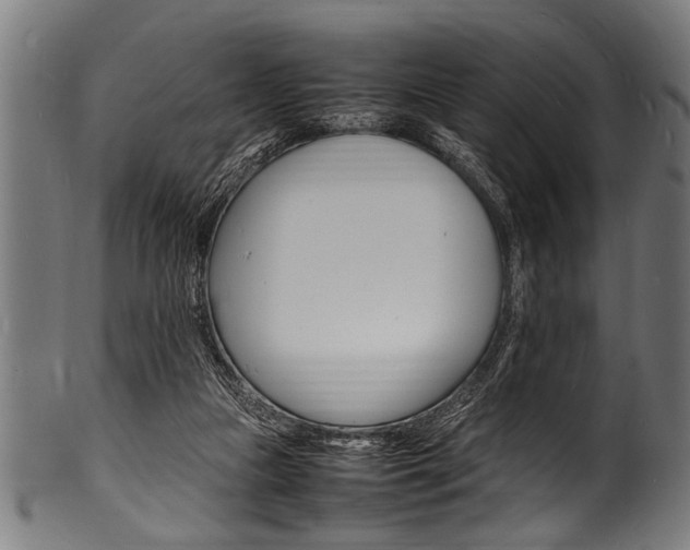 X0000100980161200806241156