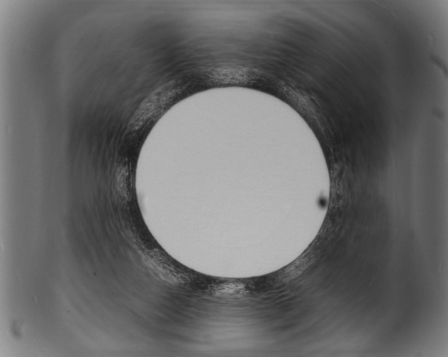 X0000100980162200806241156