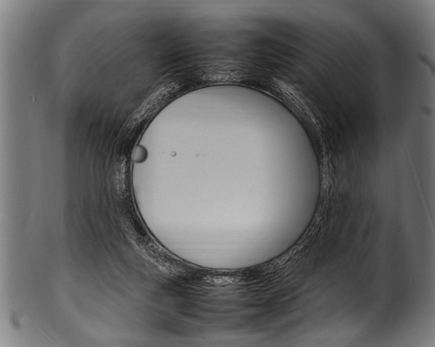 X0000100980163200806241156