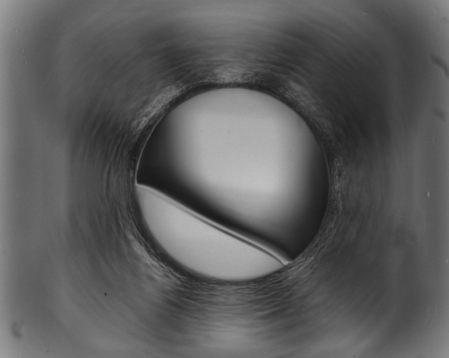 X0000100980164200806241156