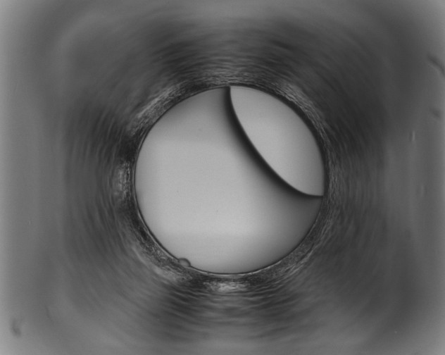 X0000100980165200806241156