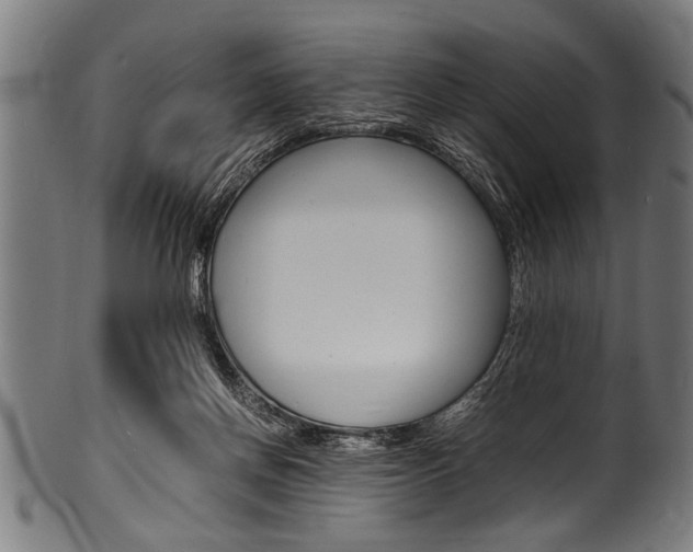 X0000100980166200806241156