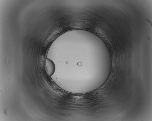 X0000100980167200806241156
