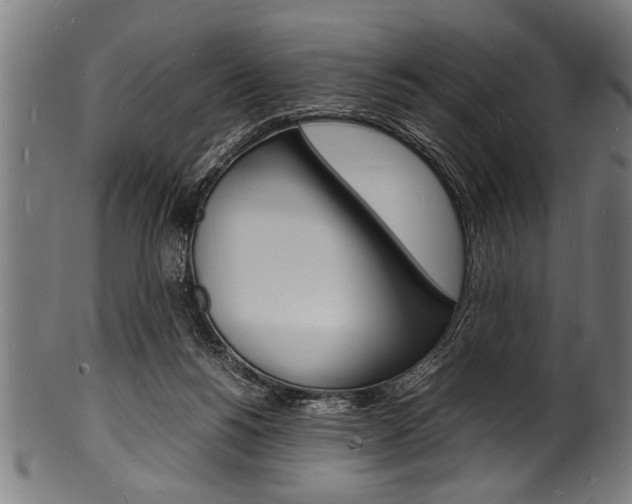 X0000100980168200806241156