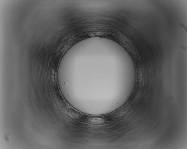 X0000100980169200806241156