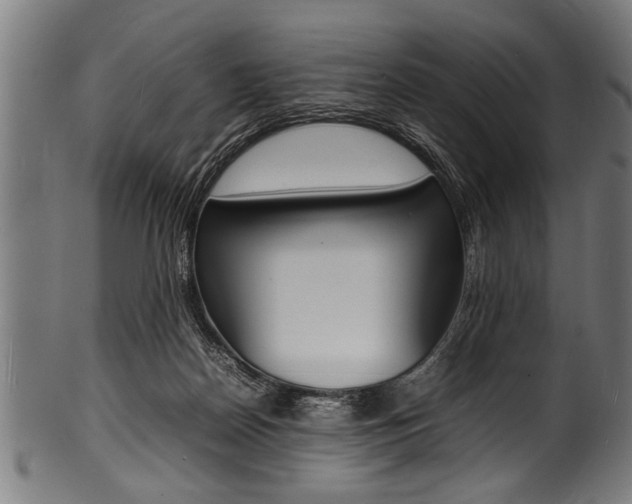 X0000100980170200806241156