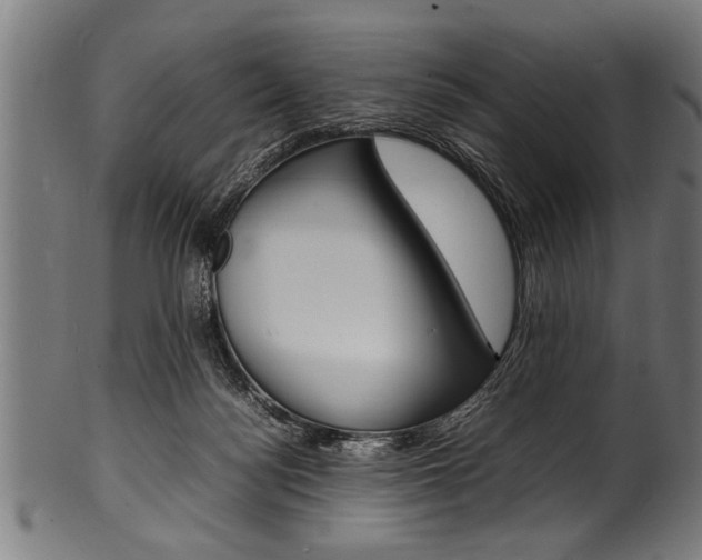 X0000100980172200806241156