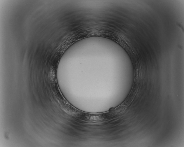 X0000100980173200806241156