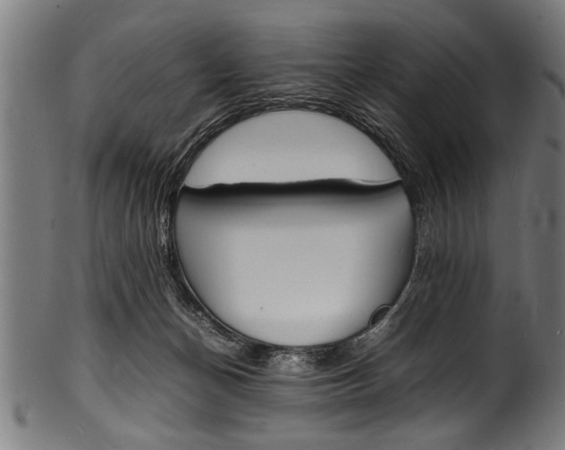 X0000100980174200806241156
