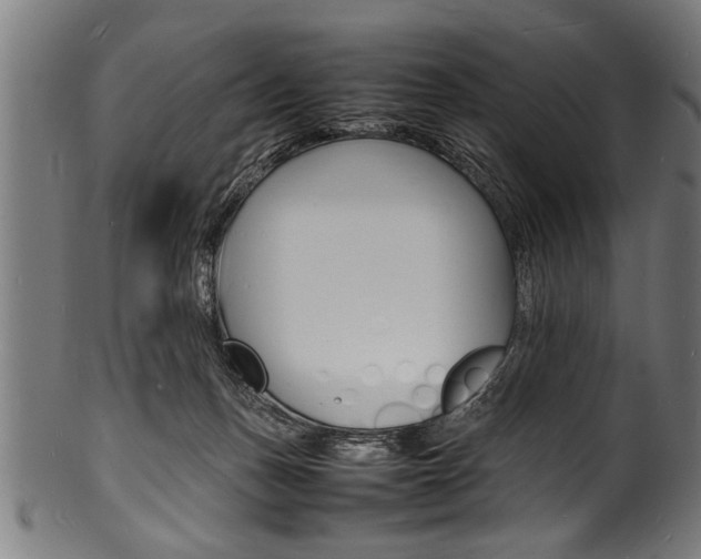 X0000100980175200806241156