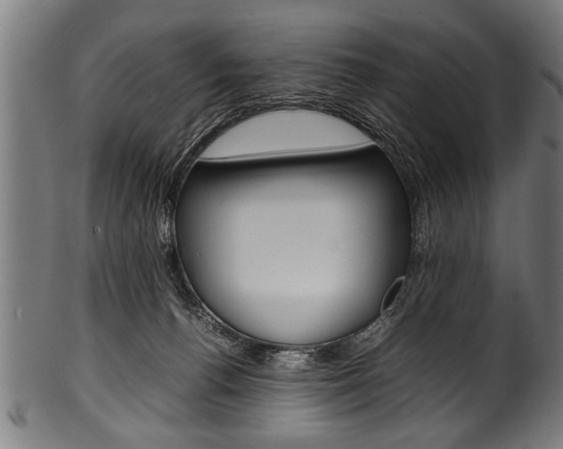 X0000100980176200806241156