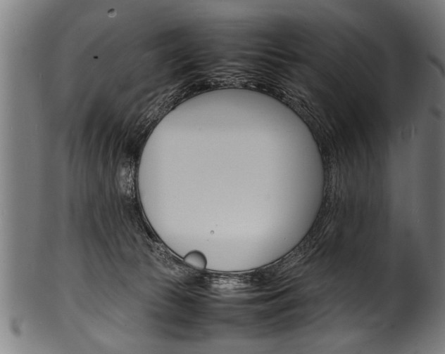 X0000100980177200806241157