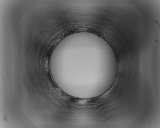X0000100980178200806241157