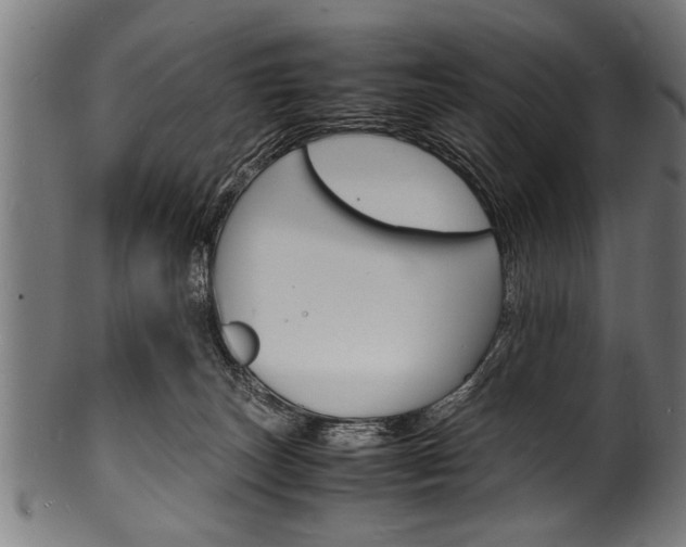 X0000100980179200806241157
