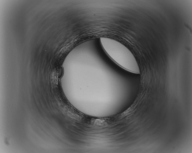 X0000100980180200806241157