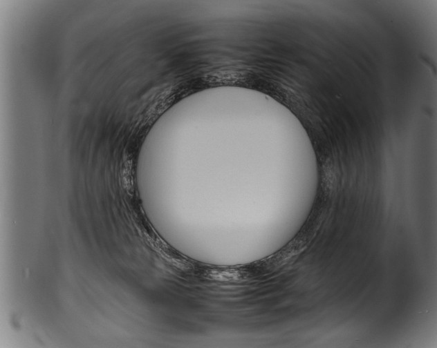 X0000100980181200806241157