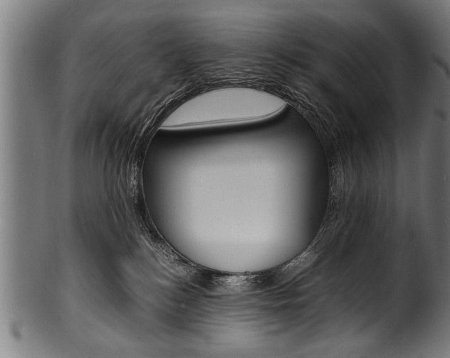 X0000100980184200806241157