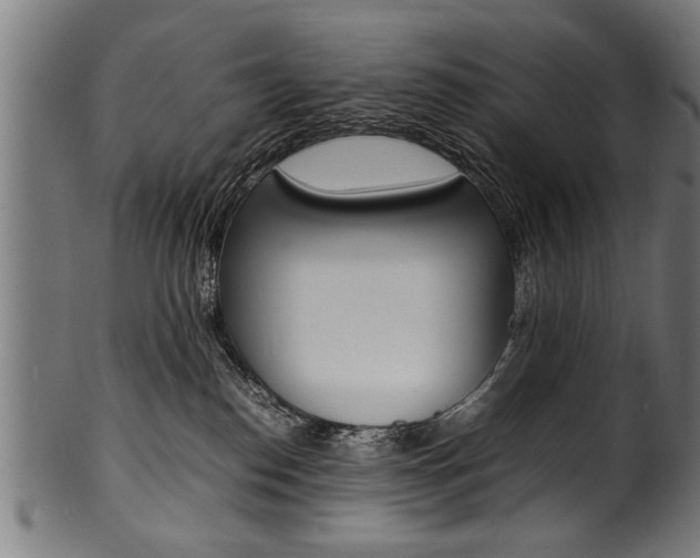 X0000100980186200806241157