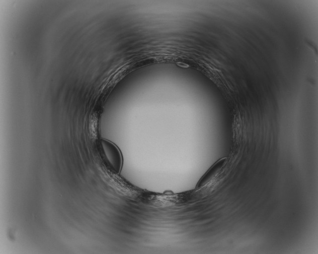 X0000100980188200806241157