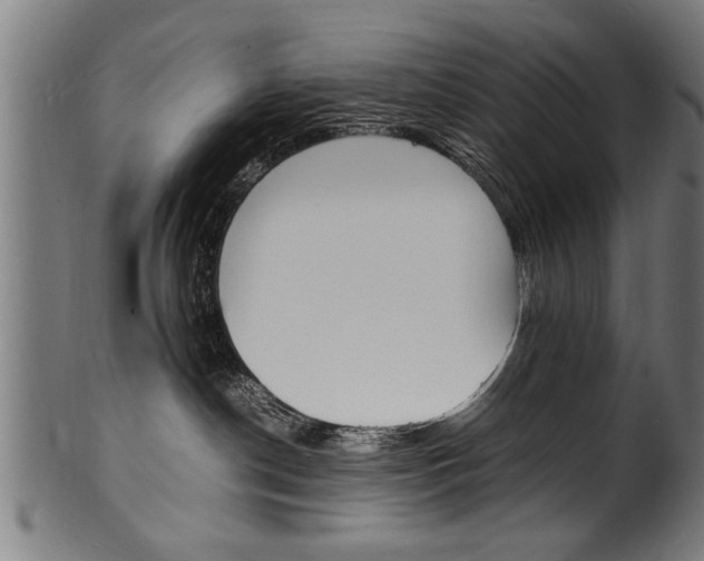 X0000100980190200806241157