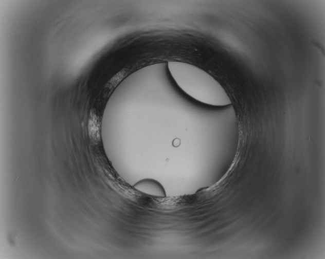 X0000100980191200806241157