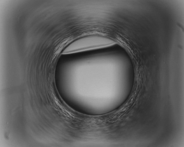 X0000100980193200806241156