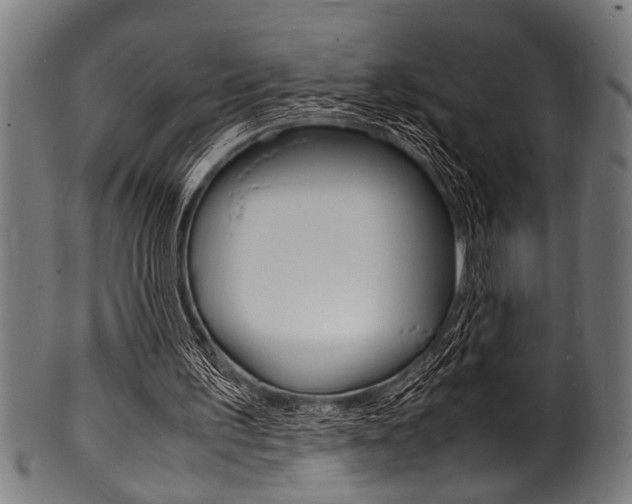 X0000100980195200806241156