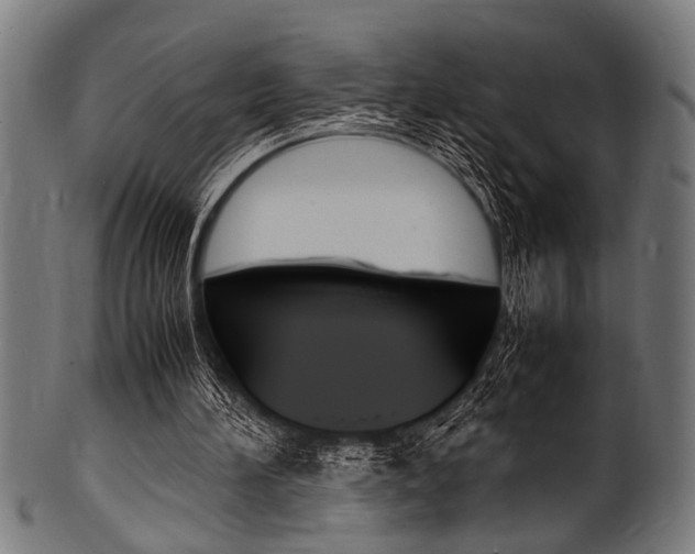 X0000100980196200806241156