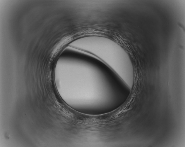 X0000100980197200806241156