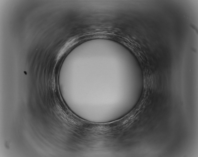 X0000100980198200806241156