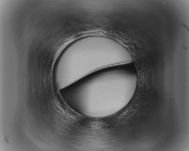X0000100980200200806241156