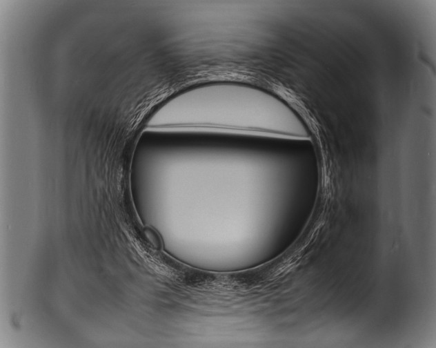 X0000100980201200806241156