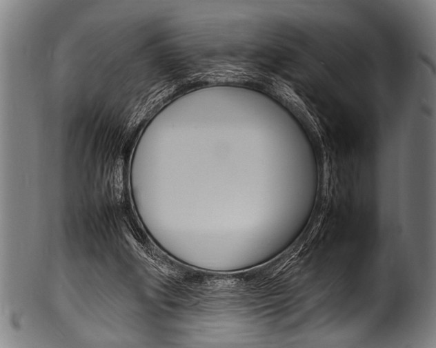 X0000100980202200806241156