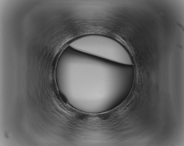X0000100980203200806241156