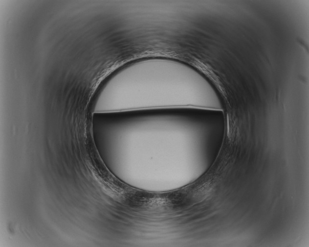 X0000100980204200806241156